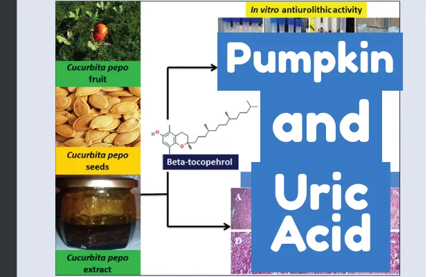Pumpkin, Squash, and Uric Acid Research