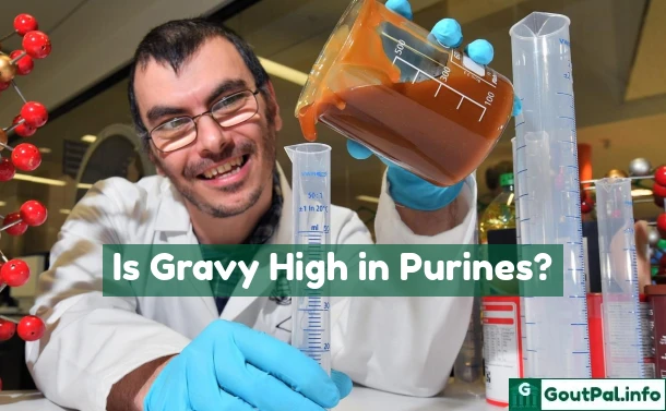 Is Gravy High in Purines?