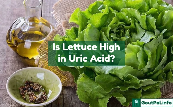 Is Lettuce High in Uric Acid?