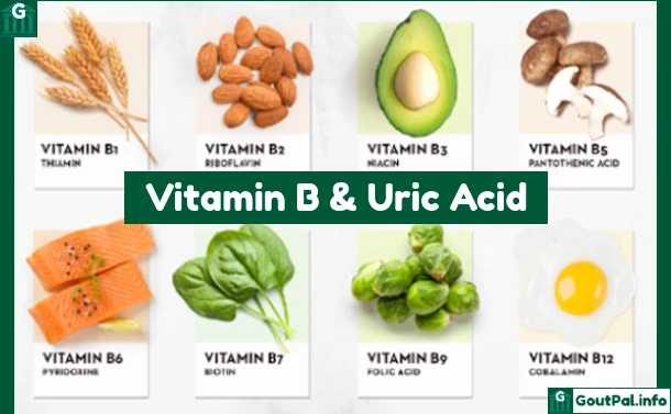 Uric Acid & Vitamin B