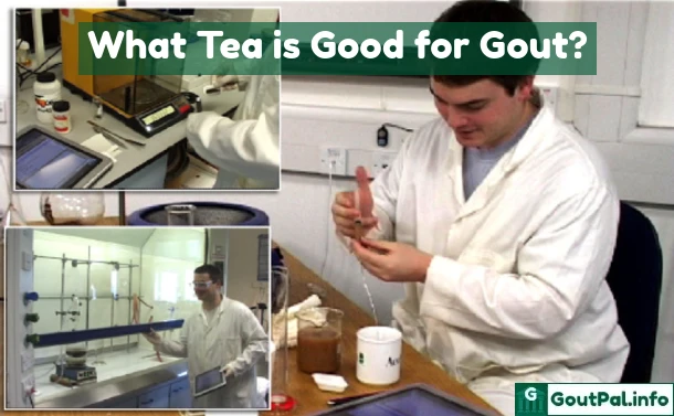 What Tea is Good for Gout?